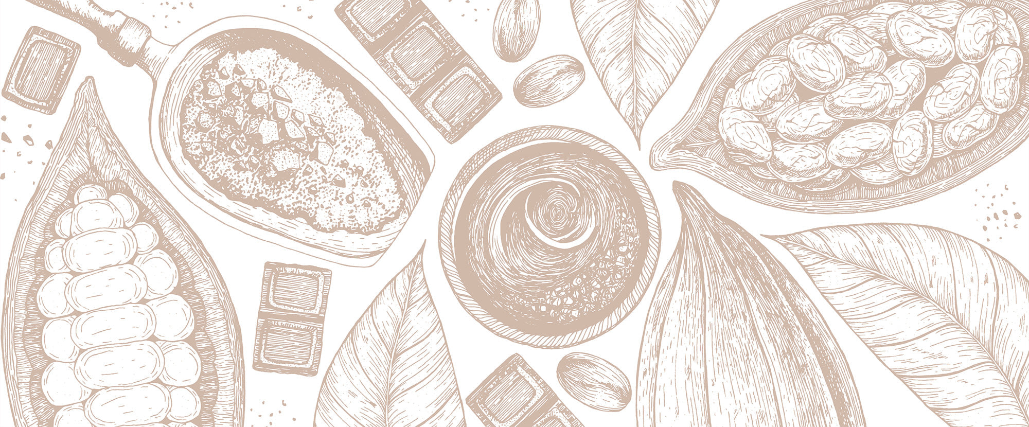 light brown illustration of cocoa, cacao pods, chocolates, and other ingredients