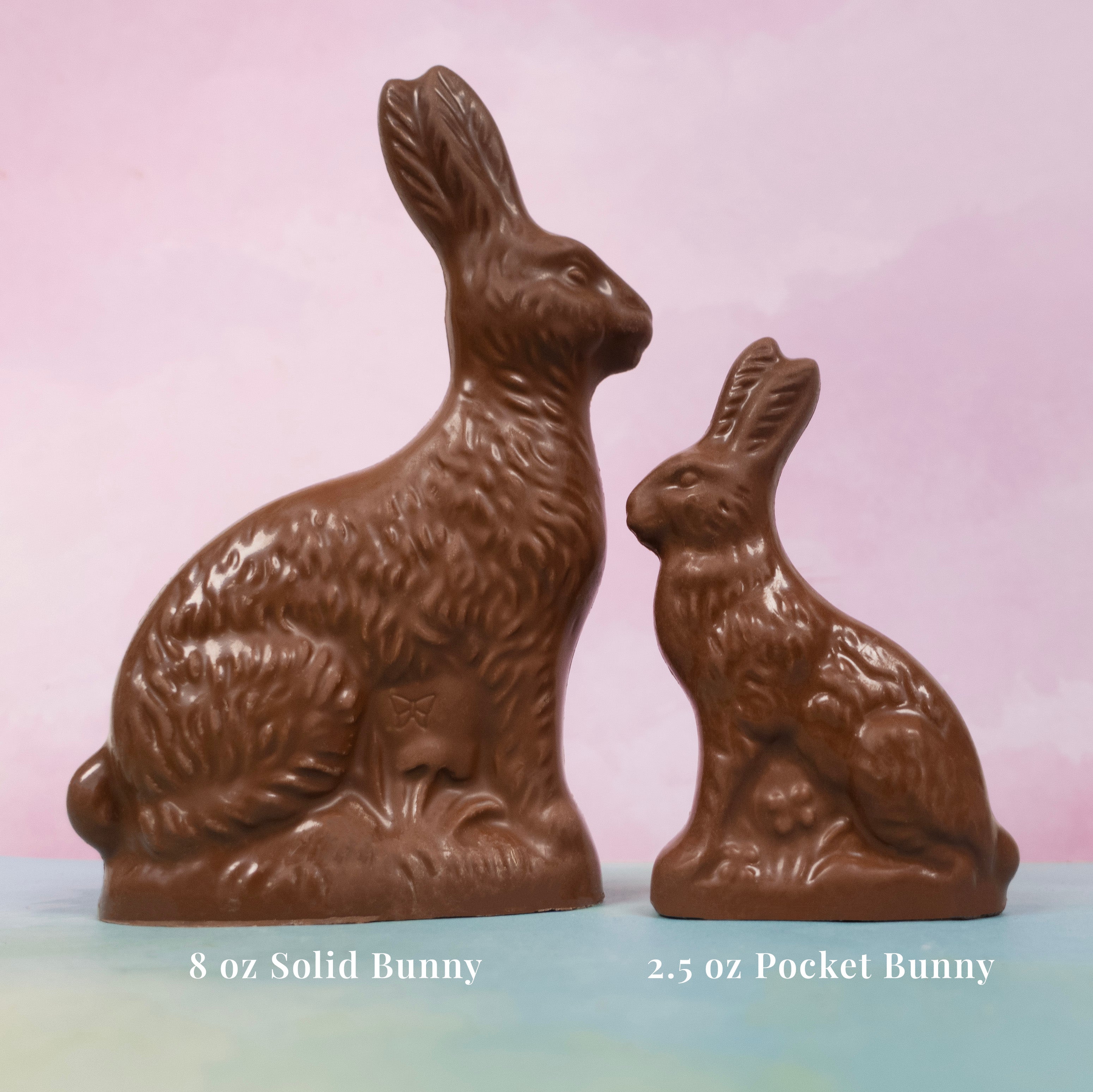 8 oz and 2.5 oz solid milk chocolate easter bunnies next to each other for size comparison.