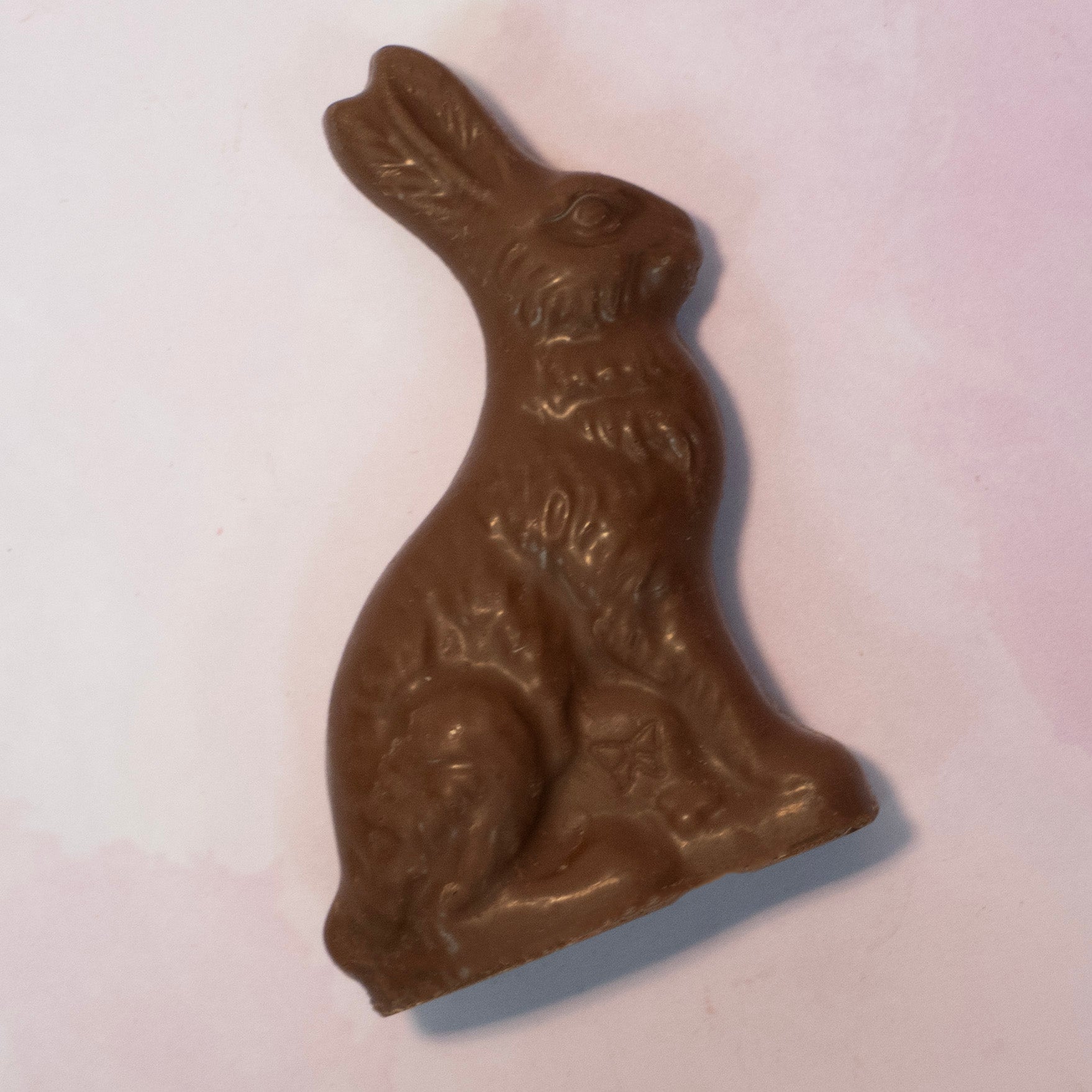 Solid Milk Chocolate sitting easter bunny