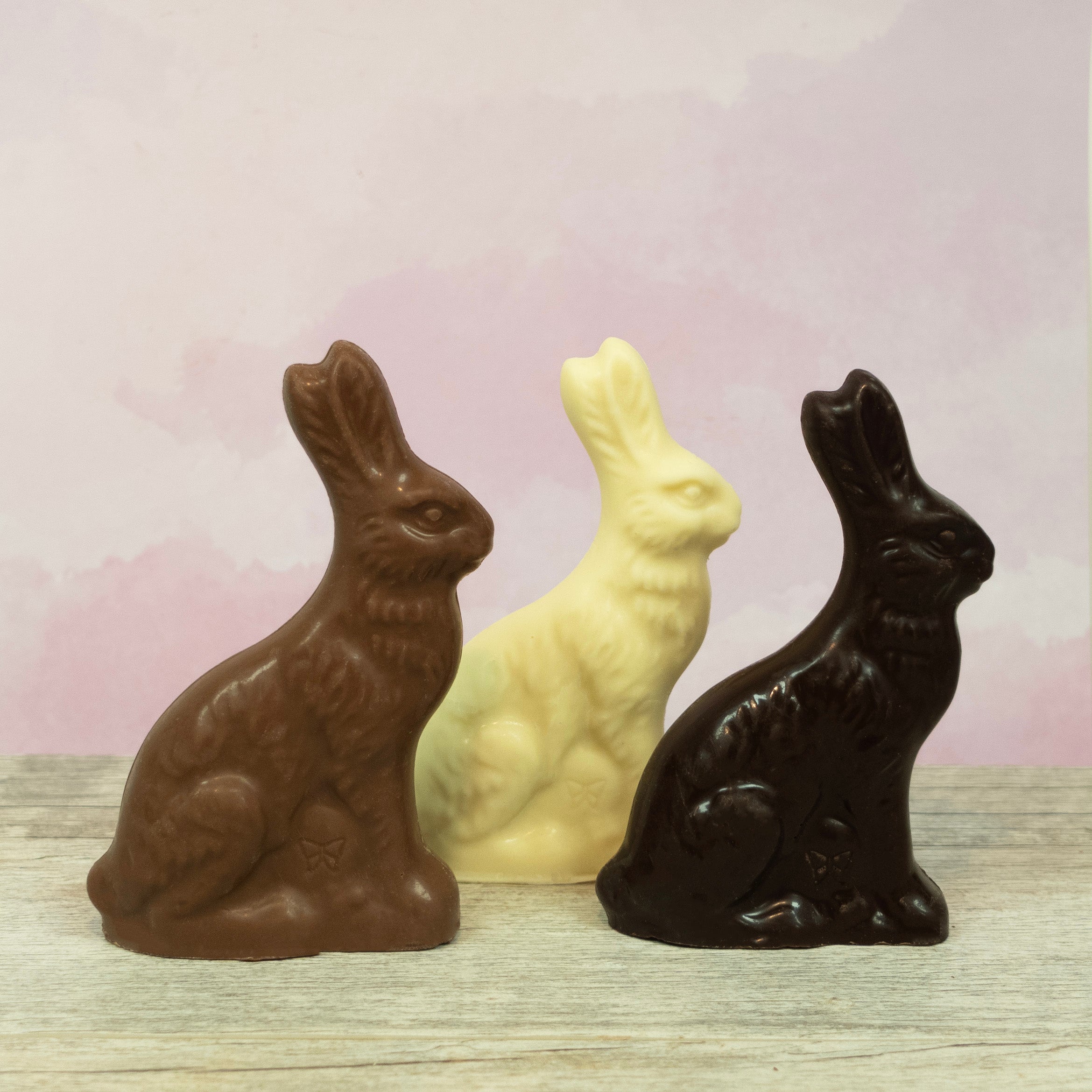 Solid Chocolate sitting easter bunnies - milk, white, and dark chocolate from Lore's Chocolates in Philadelphia