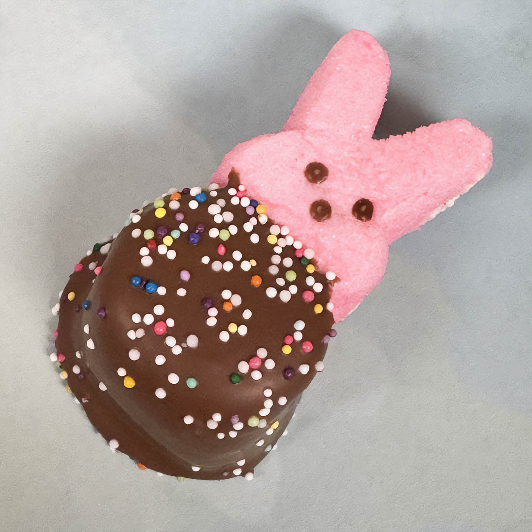 Marshmallow Rabbit , chocolate dipped