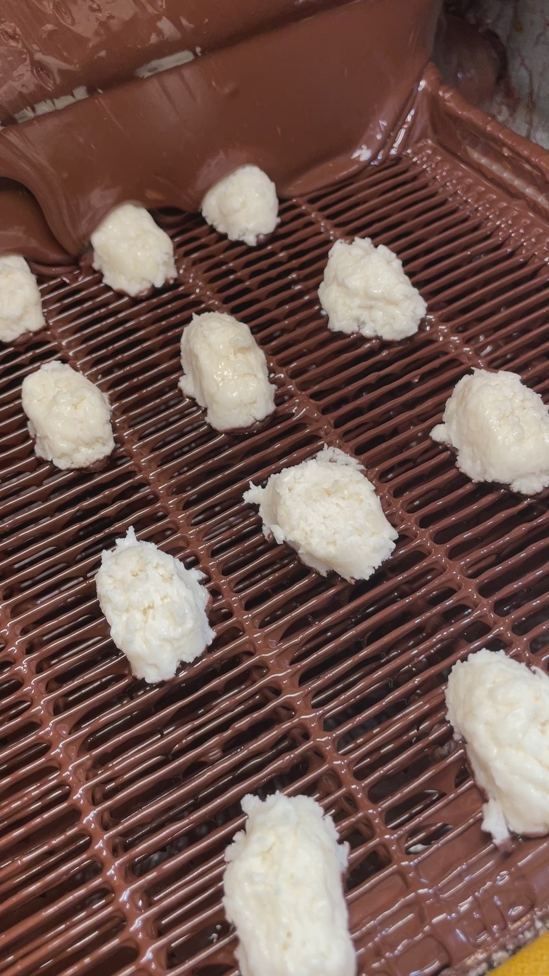 Video showing fresh coconut creams being enrobed in chocolate at Lore's Chocolate Factory in Philadelphia