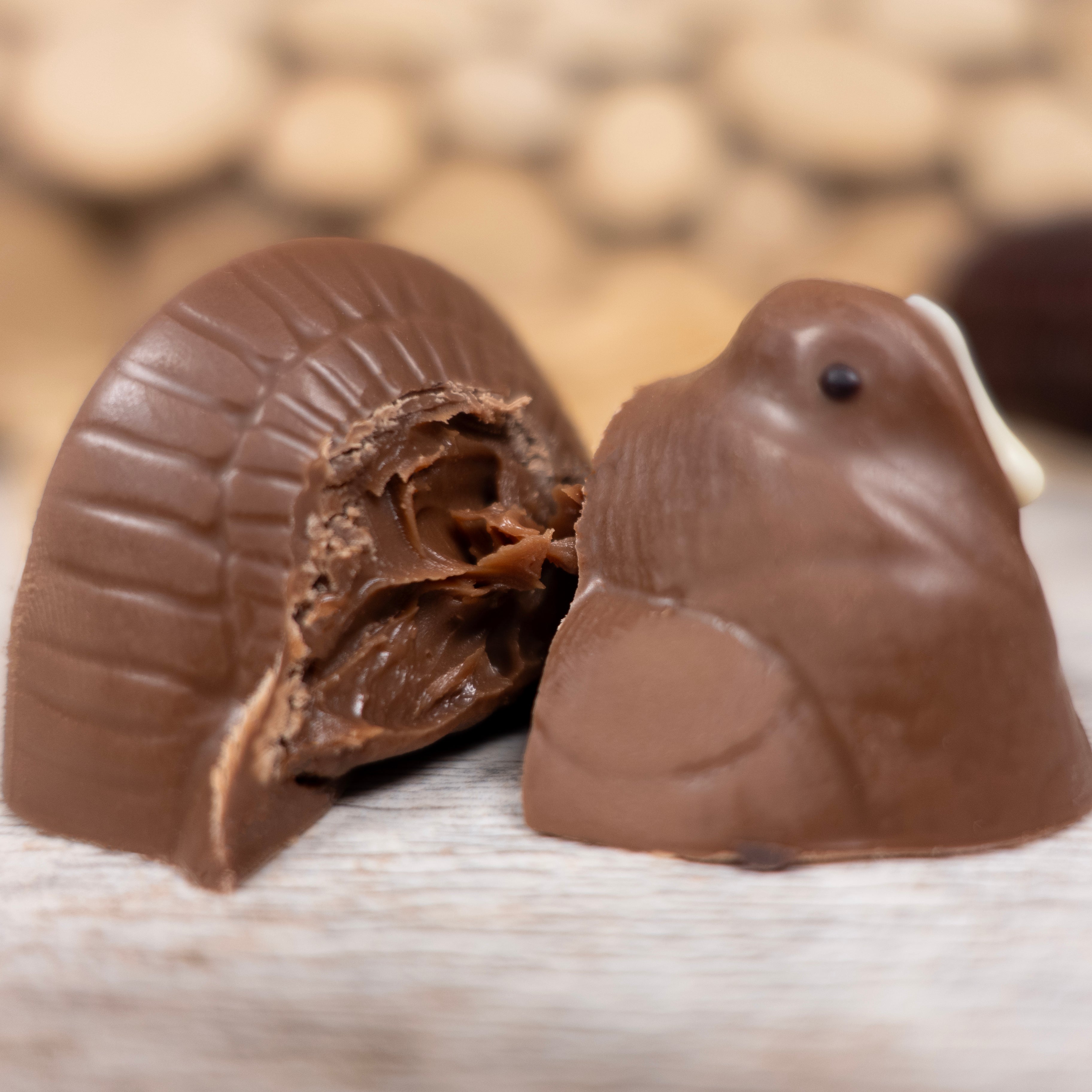 Chocolate turkey candy cut open to see the ganache inside on a wooden surface