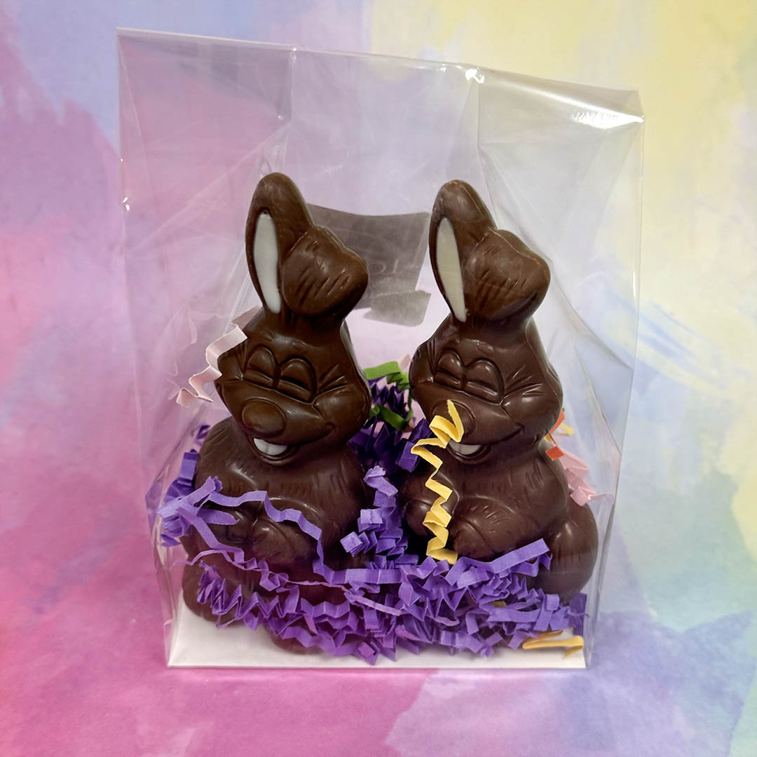 Two chocolate bunnies in a clear bag with purple Easter grass on a colorful background