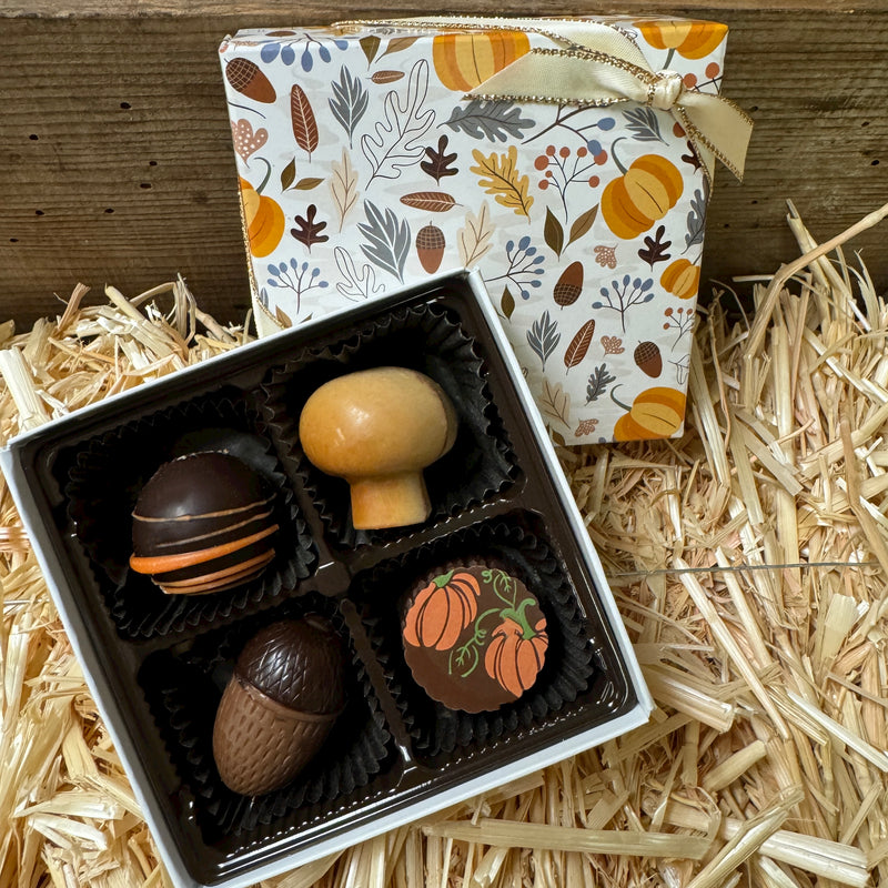 fall truffle gift box four pieces decorative gift box with pumpkin, chocolate and praline truffles
