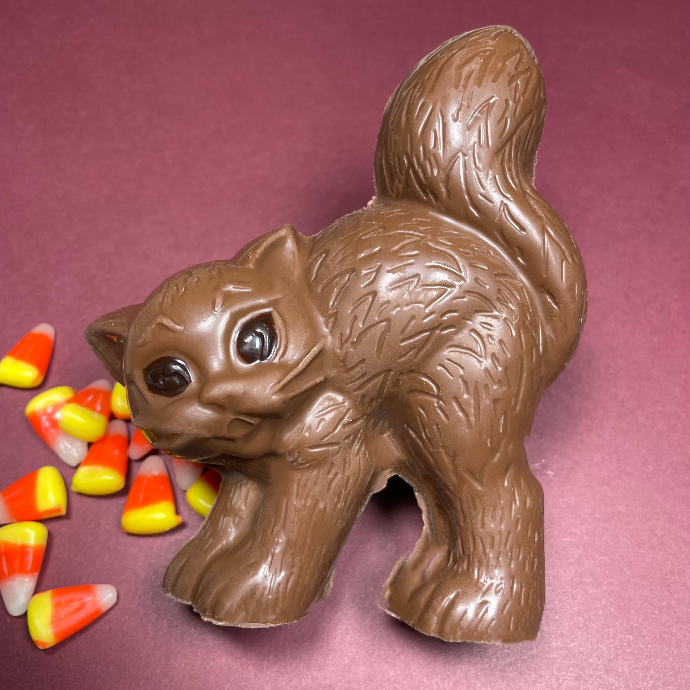 Milk chocolate cat mold with its back arched and tail up - dark chocolate eyes for accent