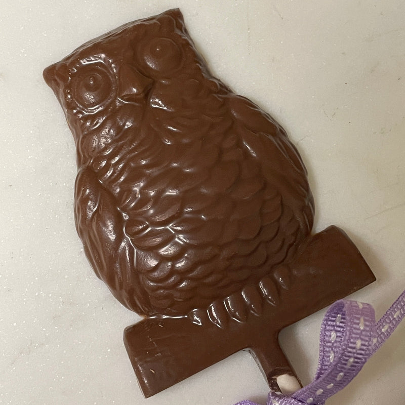 Milk Chocolate owl pop - fall chocolate