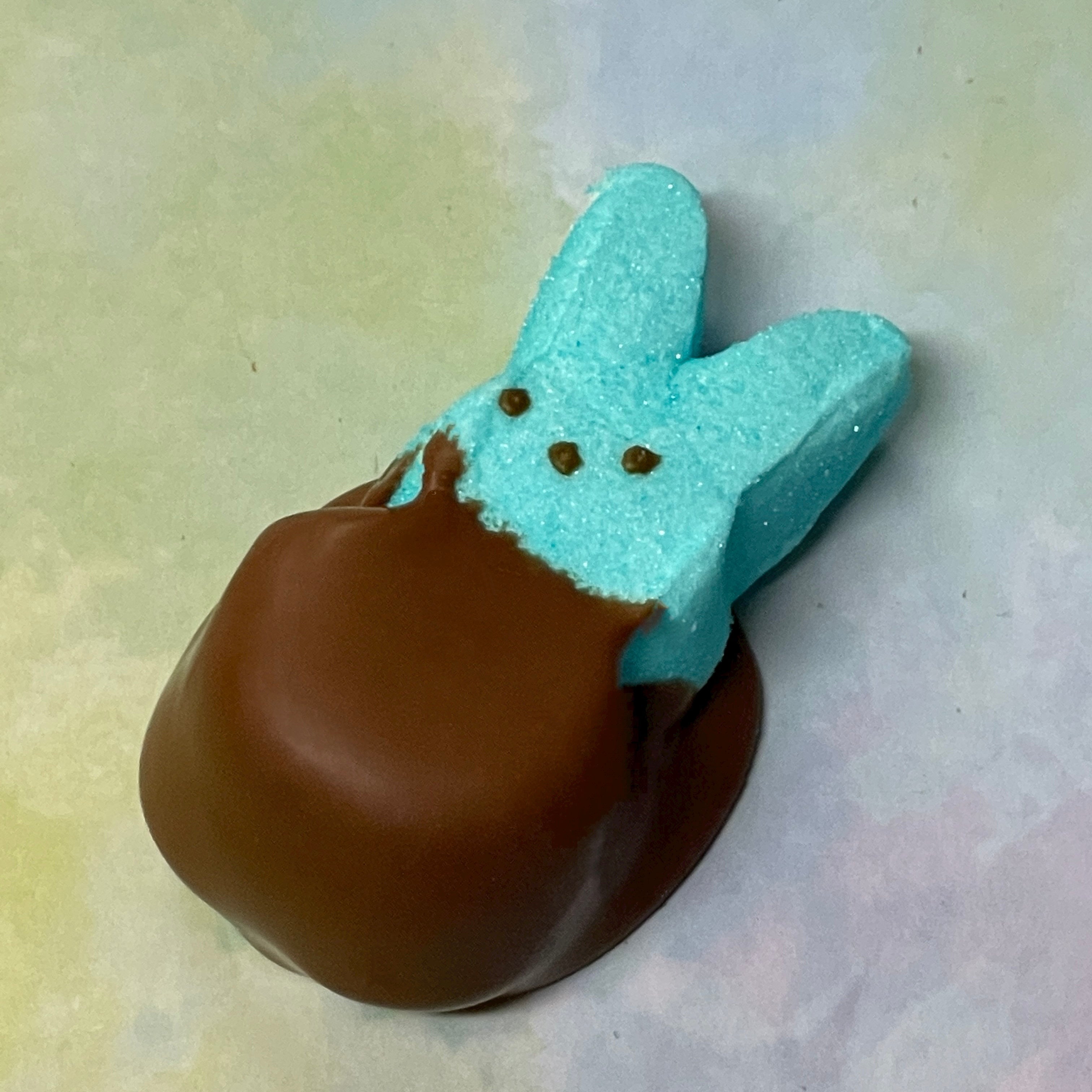 Marshmallow Rabbit , chocolate dipped