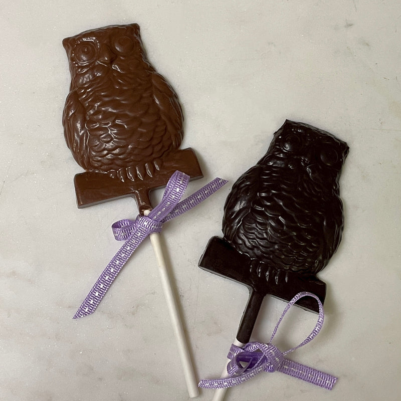 Halloween Chocolate Owl - Fall Chocolate Owl - Temple Owl Chocolate Lollipop