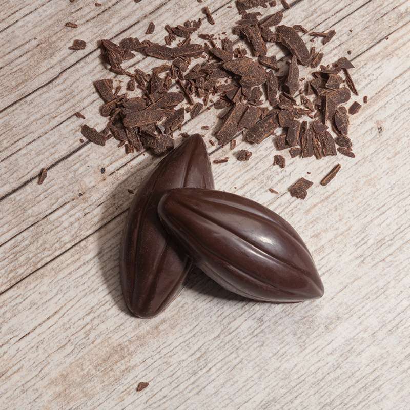 Cocoa Pods with Cocoa Nibs